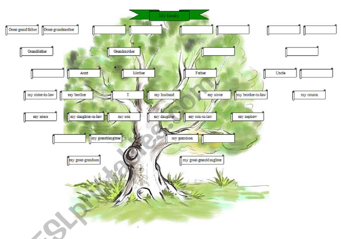 The family tree worksheet