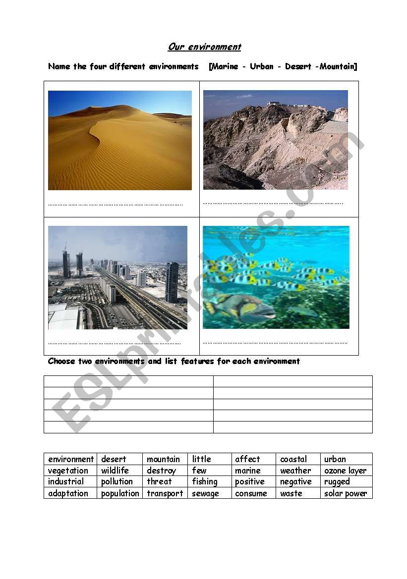 Types of environments worksheet