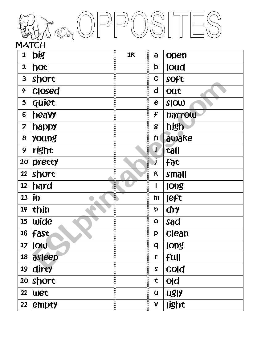 OPPOSITES worksheet