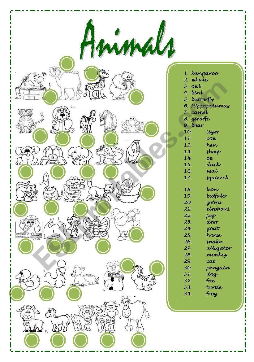 Animals worksheet