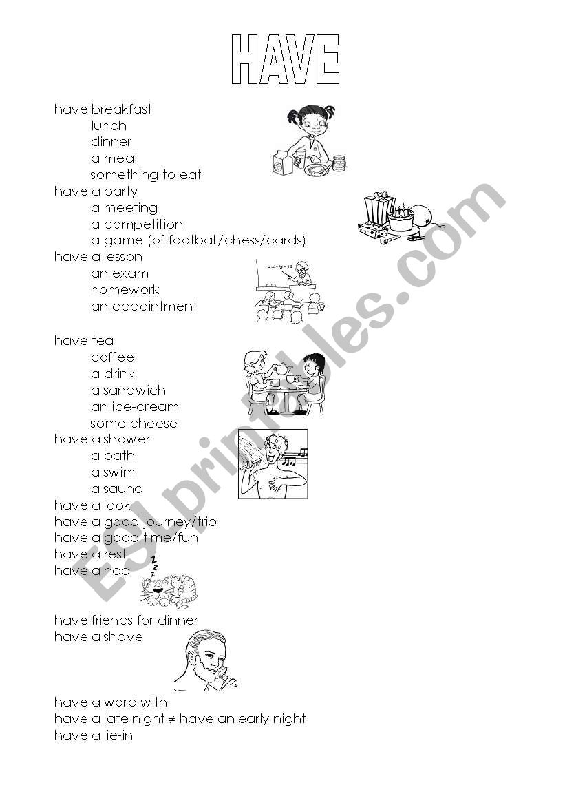 EXPRESSIONS WITH HAVE worksheet