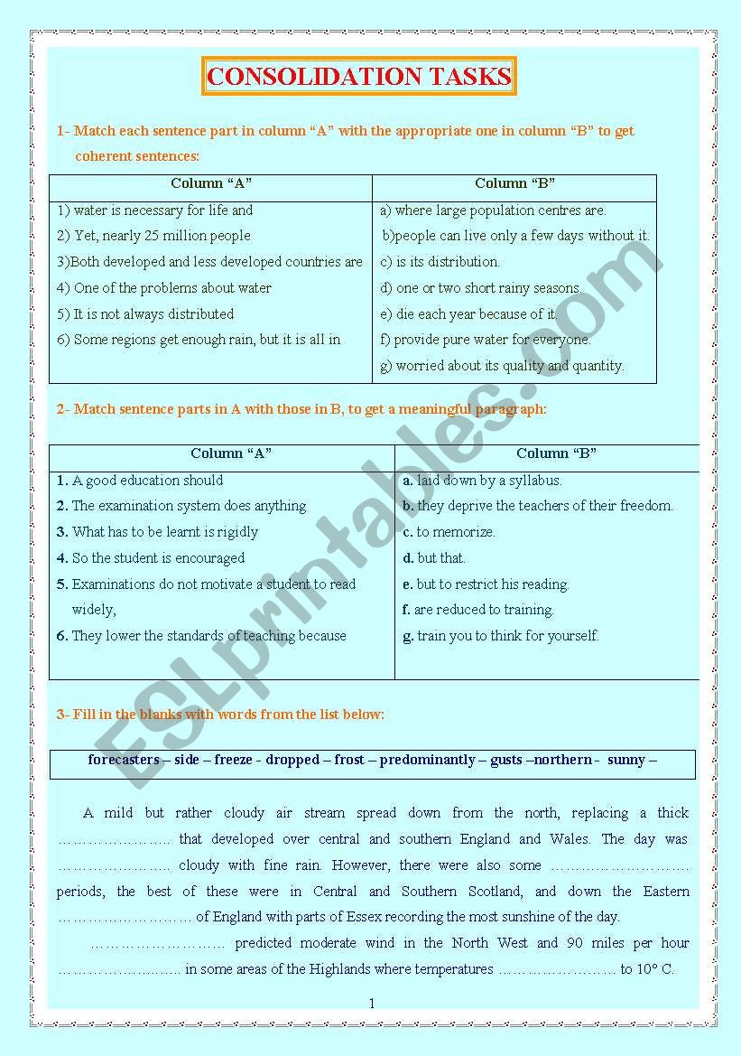 CONSOLIDATION BAC TASKS worksheet