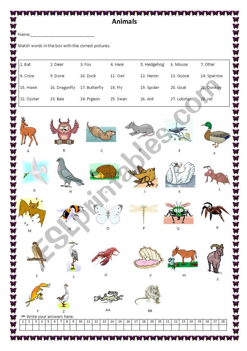 Animals worksheet