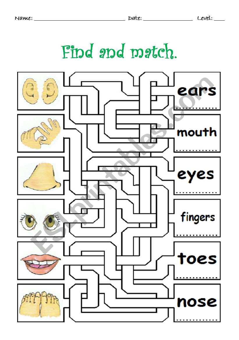 Body parts maze worksheet