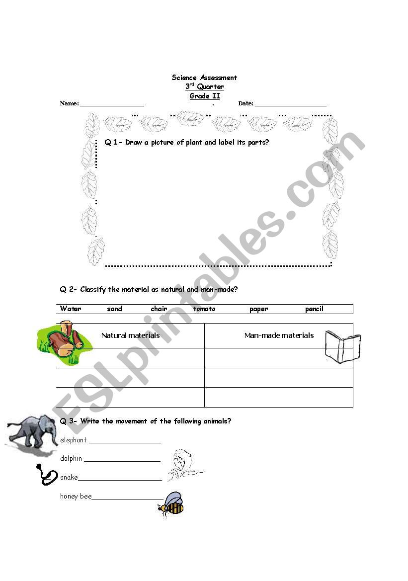 animals and plants worksheet