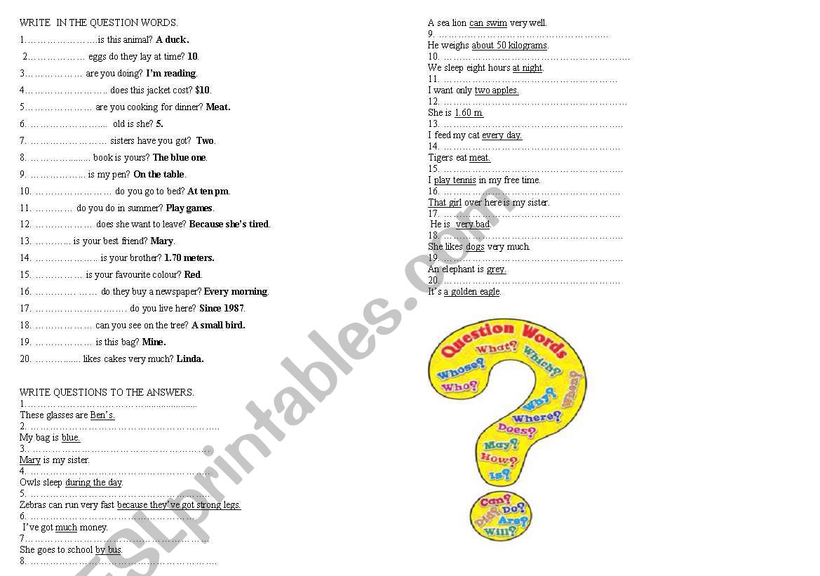 Special questions worksheet