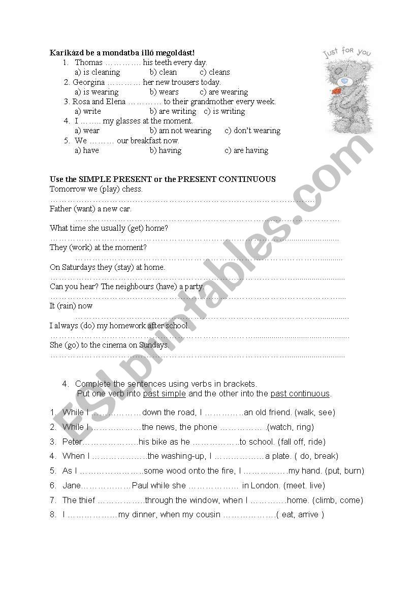 Pracise the verb tenses worksheet