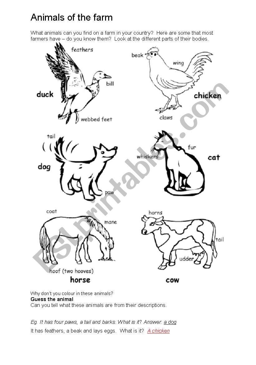 the animals of the farm  worksheet