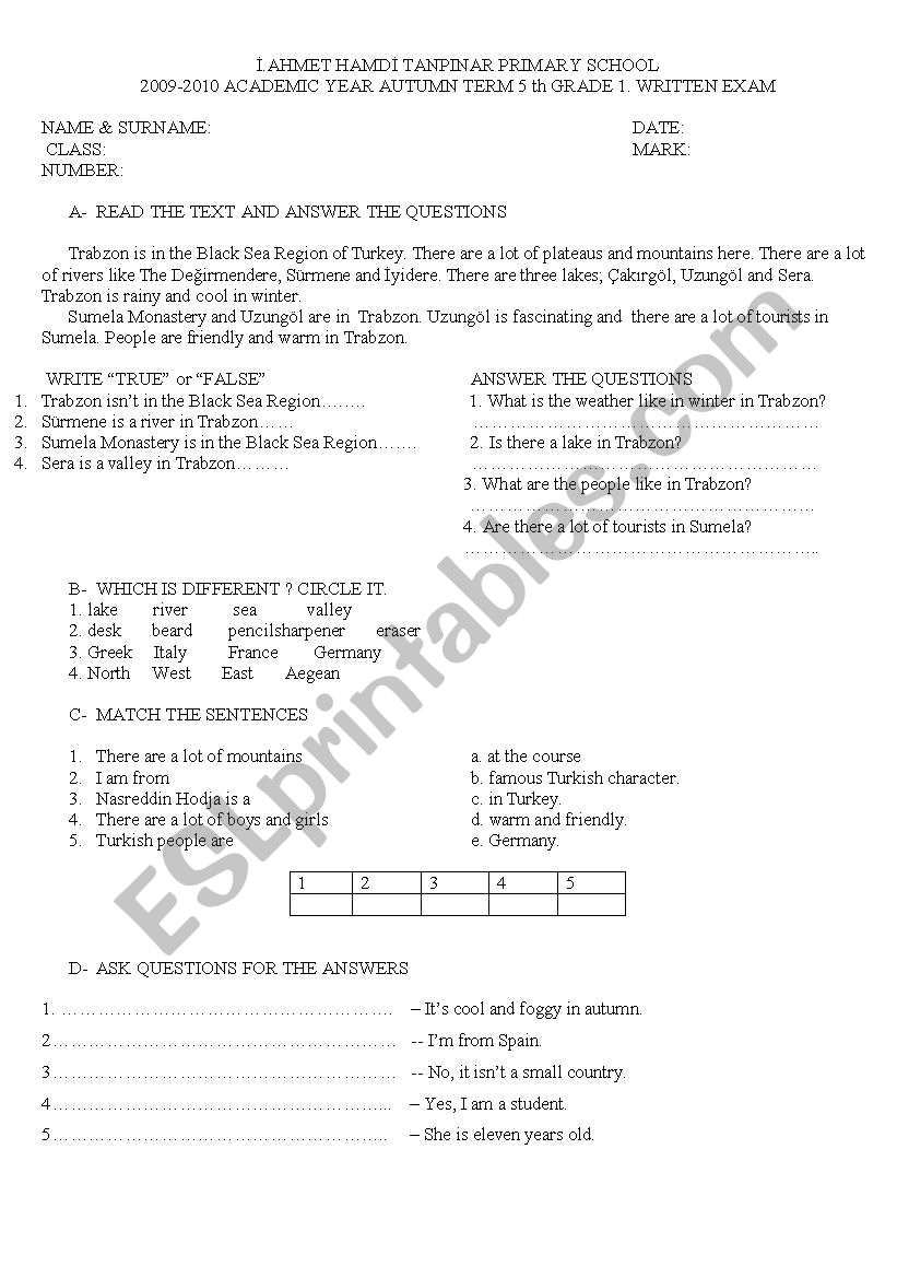 exam 5th grade worksheet