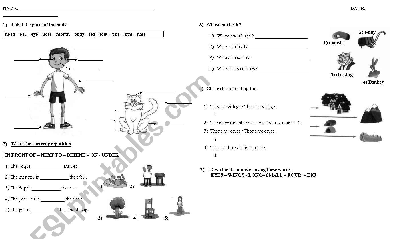 Parts of the Body - Prepositions - Demonstratives - Possessive Case