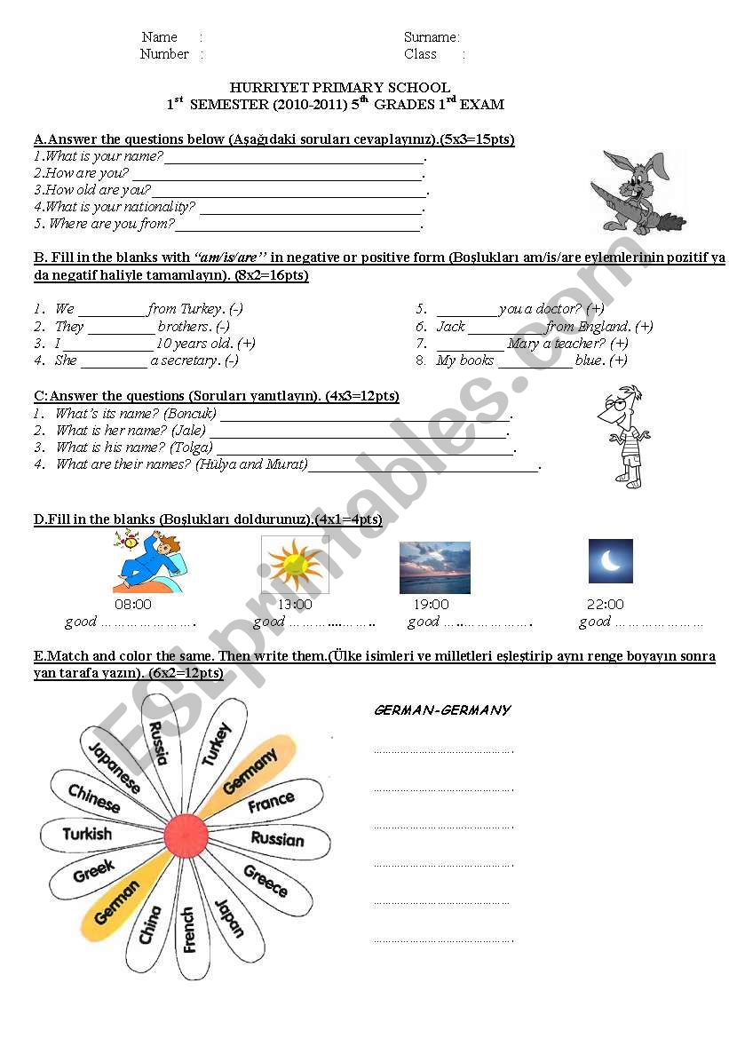 exam worksheet