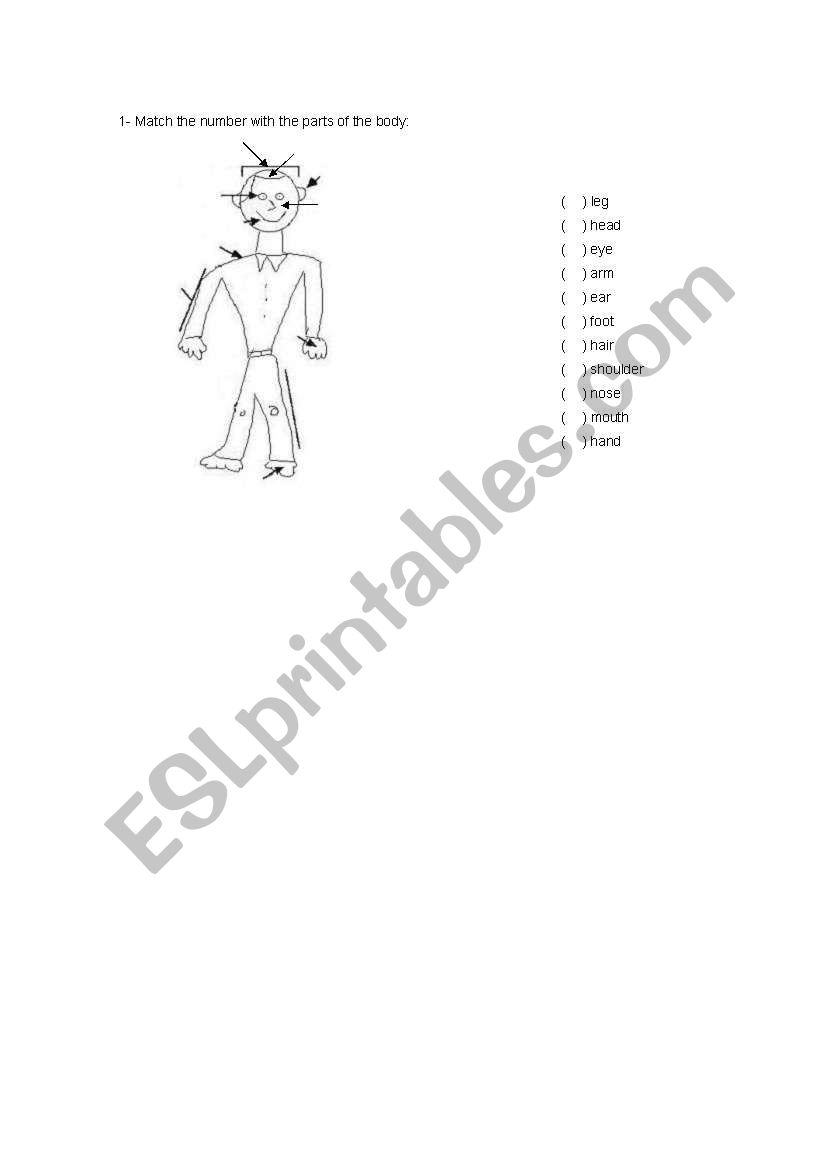 PARTS OF THE BODY worksheet