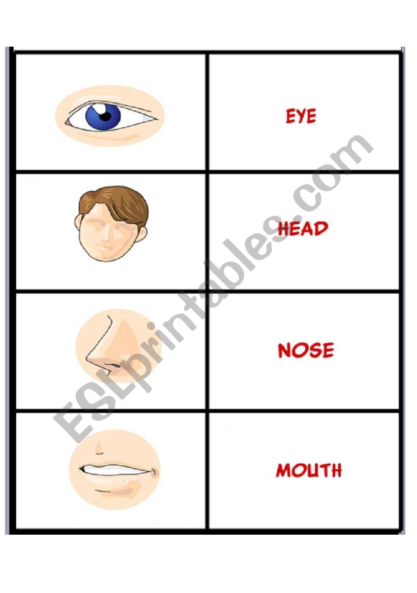 parts of he body 1/3 worksheet