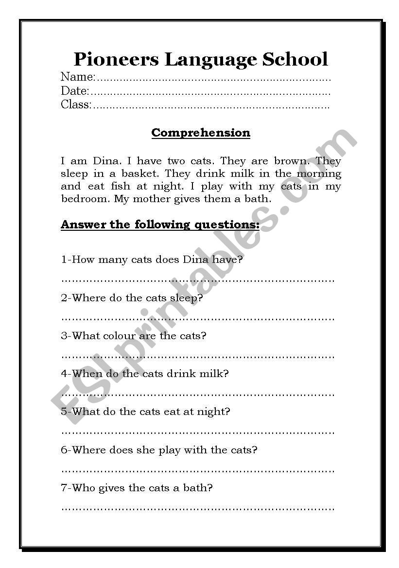 Comprehension worksheet