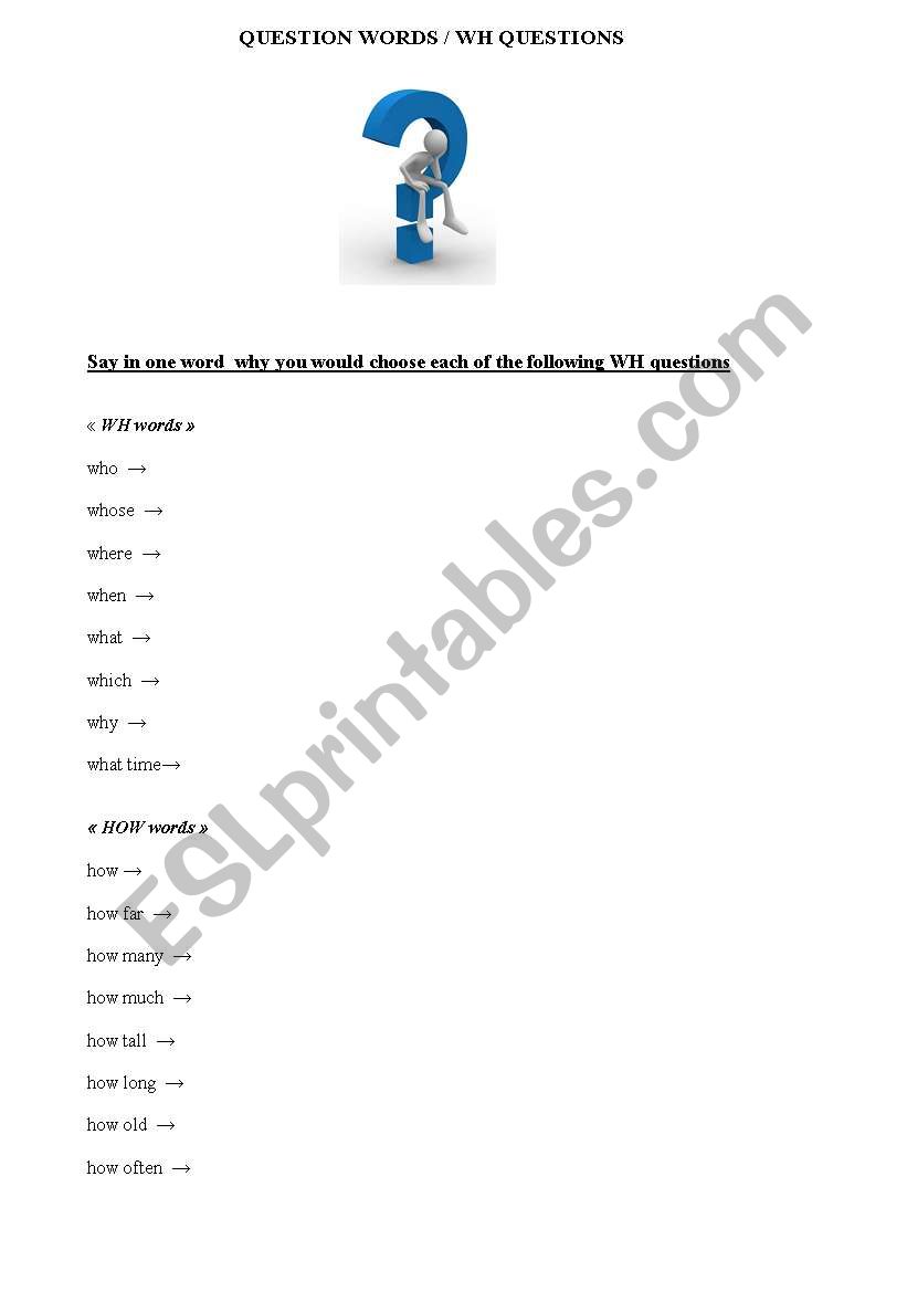 WH questions worksheet