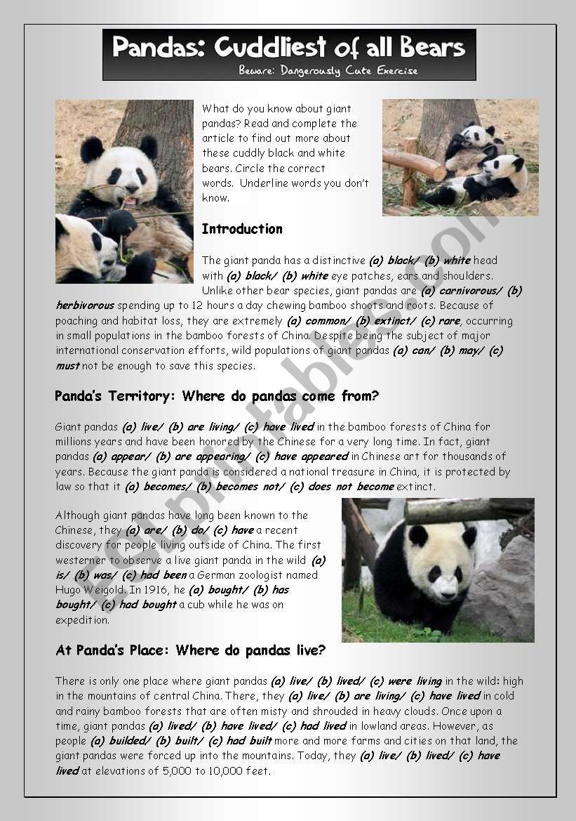 Reading (1): Pandas - Cuddliest of all Bears