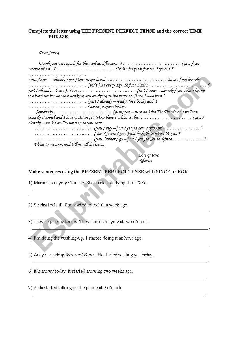 present perfect worksheet