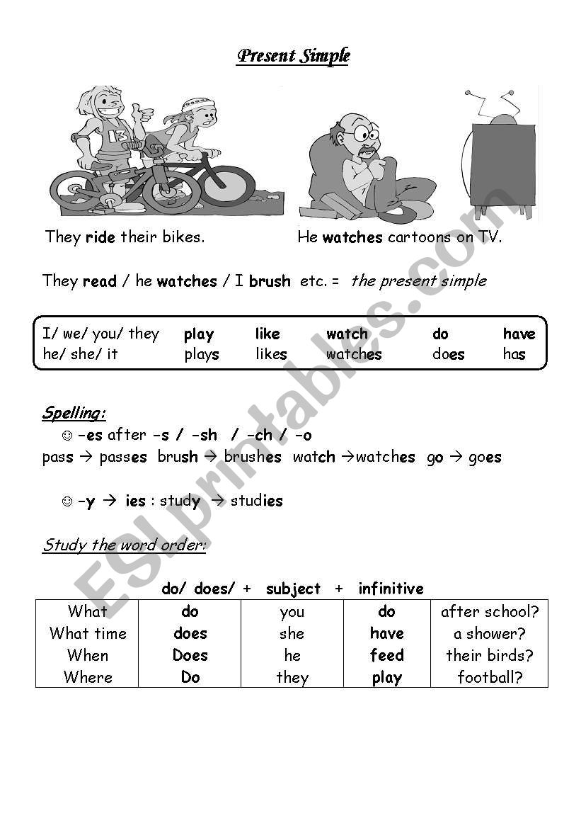 Present Simple worksheet