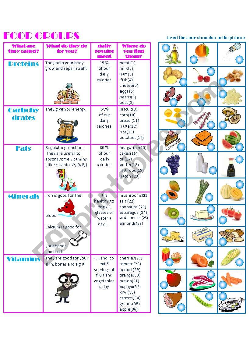 FOOD GROUPS-MATCHING- worksheet