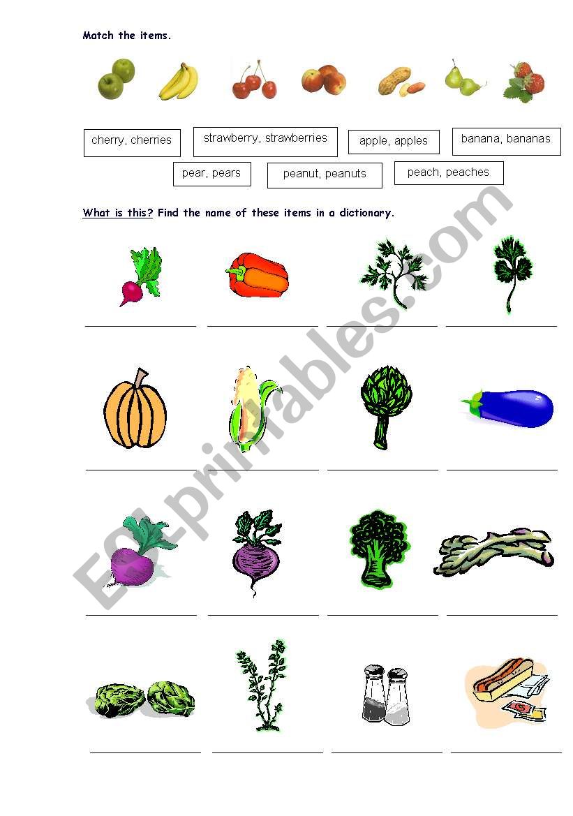 food worksheet