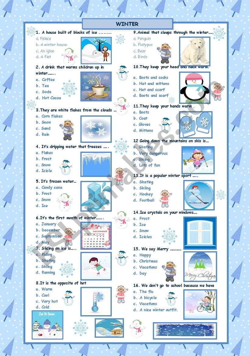 Winter Quiz! worksheet