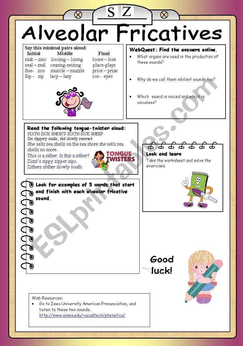 Alveolar Fricatives (Phonetic Station 1)