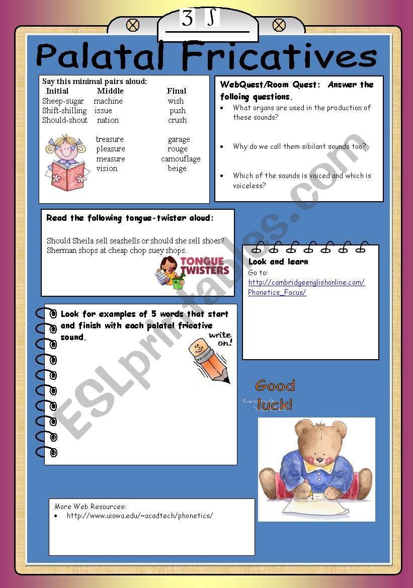 Palatal Fricatives (Phonetic Station 2)