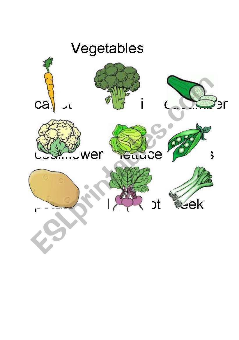 vegetables worksheet