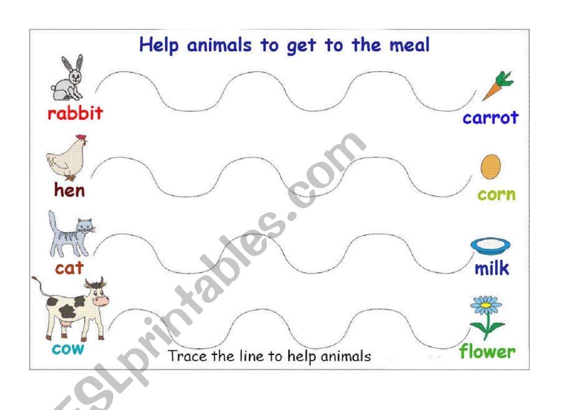 Help animals to get to the meal 3
