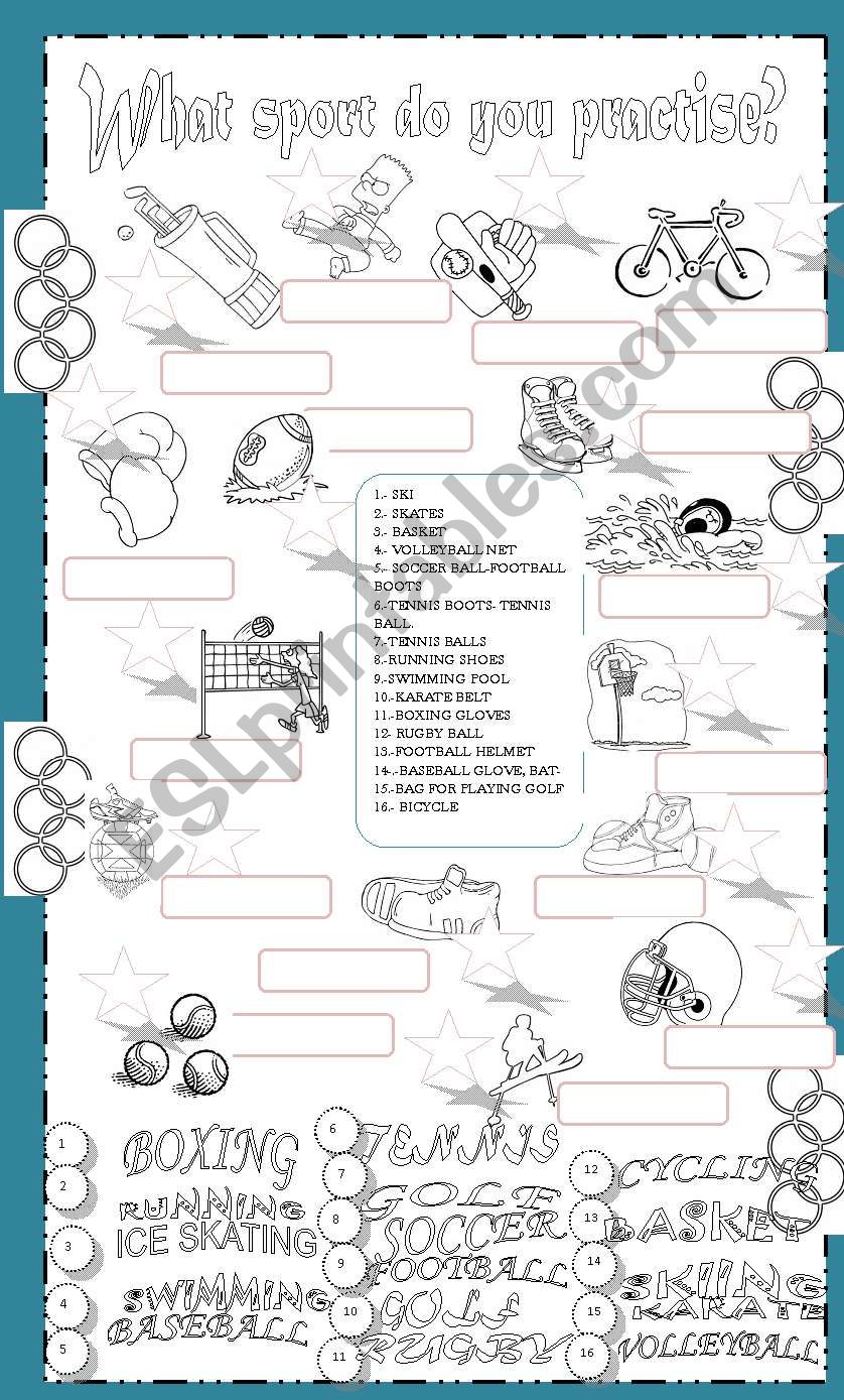 What sport do you practise? worksheet