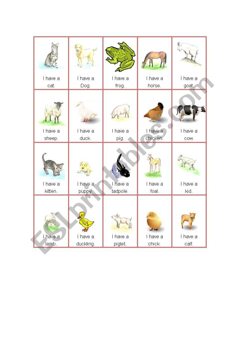 baby animal card game: Has/Have