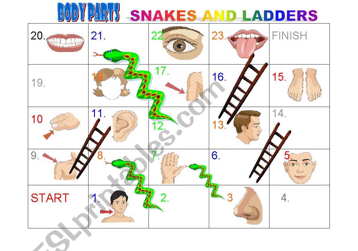 Body Parts Snakes and Ladders worksheet