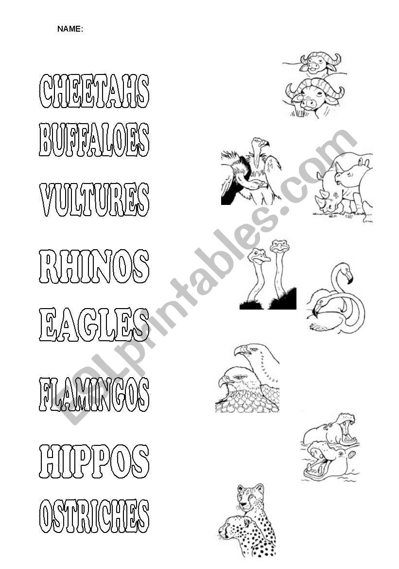 wild animals worksheet