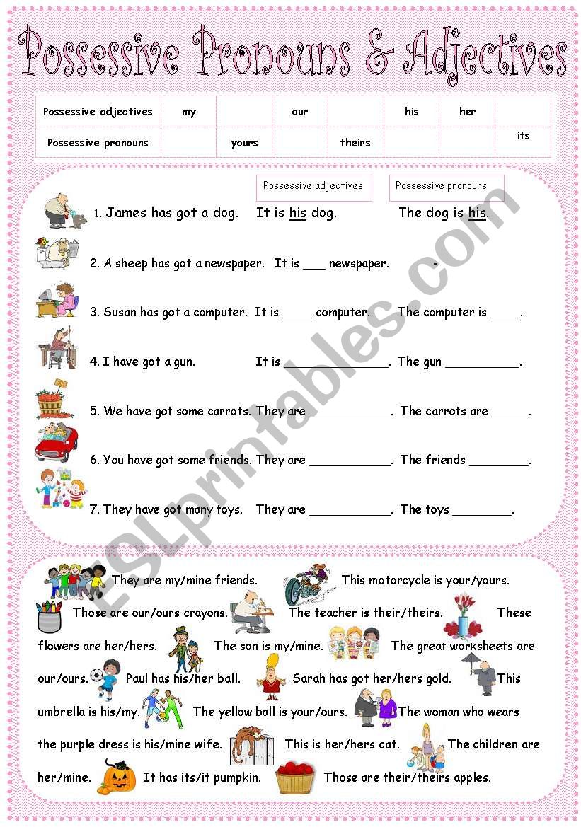 possessive pronouns & adjectives