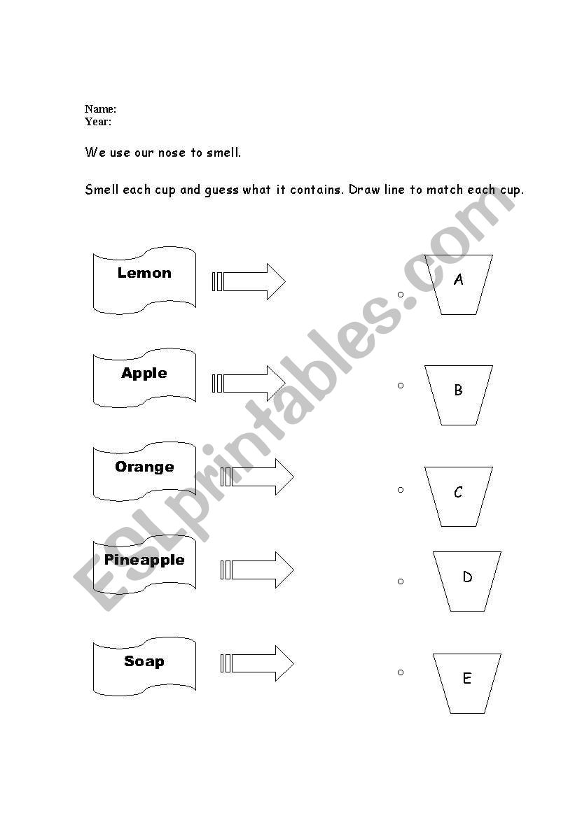 smell activity worksheet