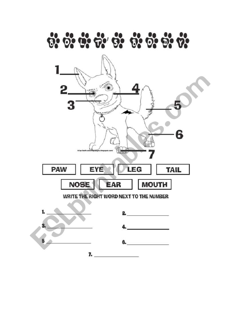 Parts of the Body worksheet