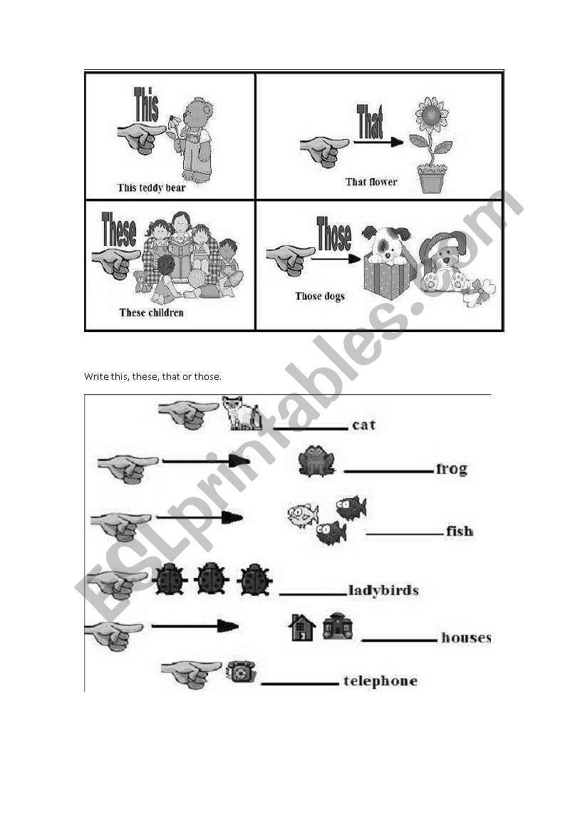 demonstrative adjectives worksheet