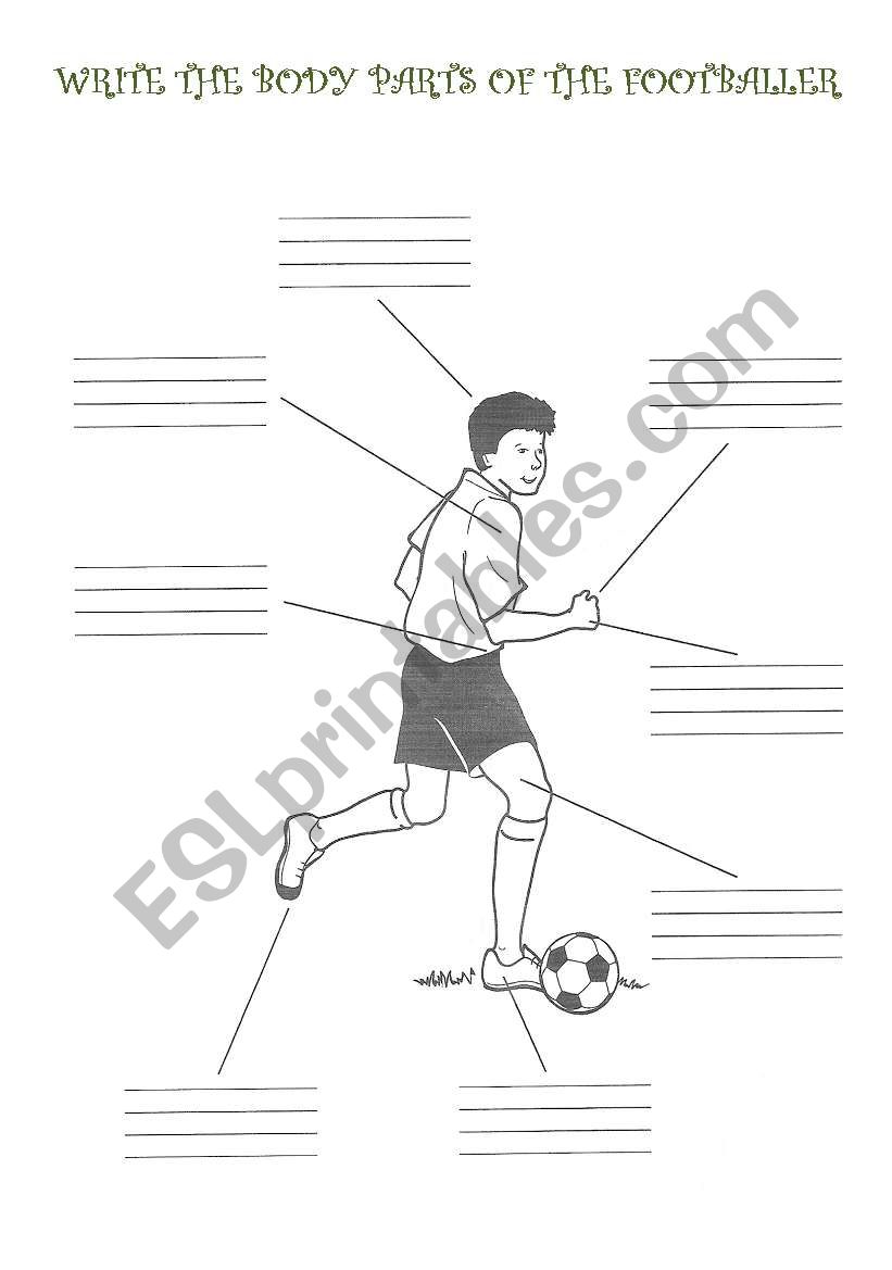 Footballer body parts worksheet