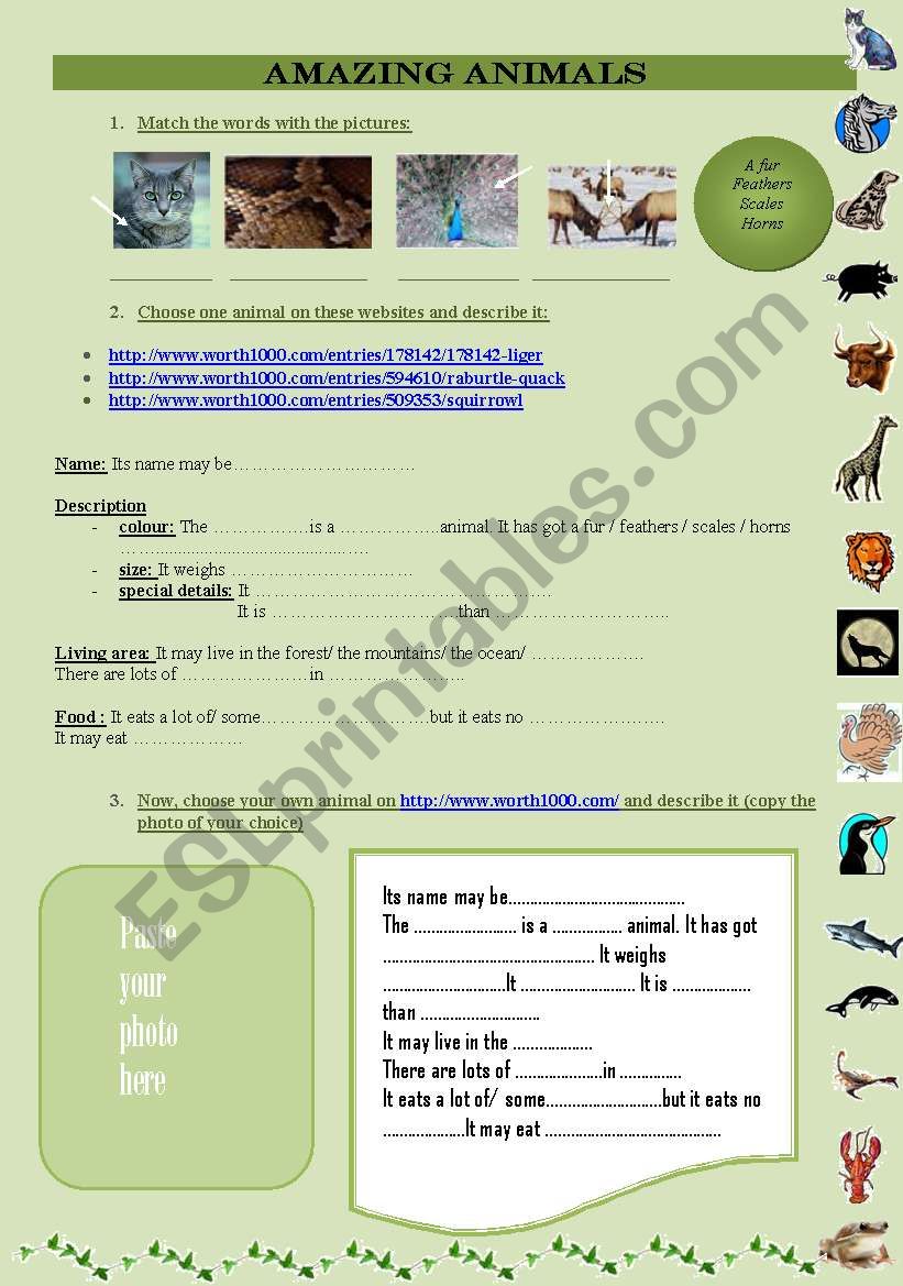 Amazing animals worksheet