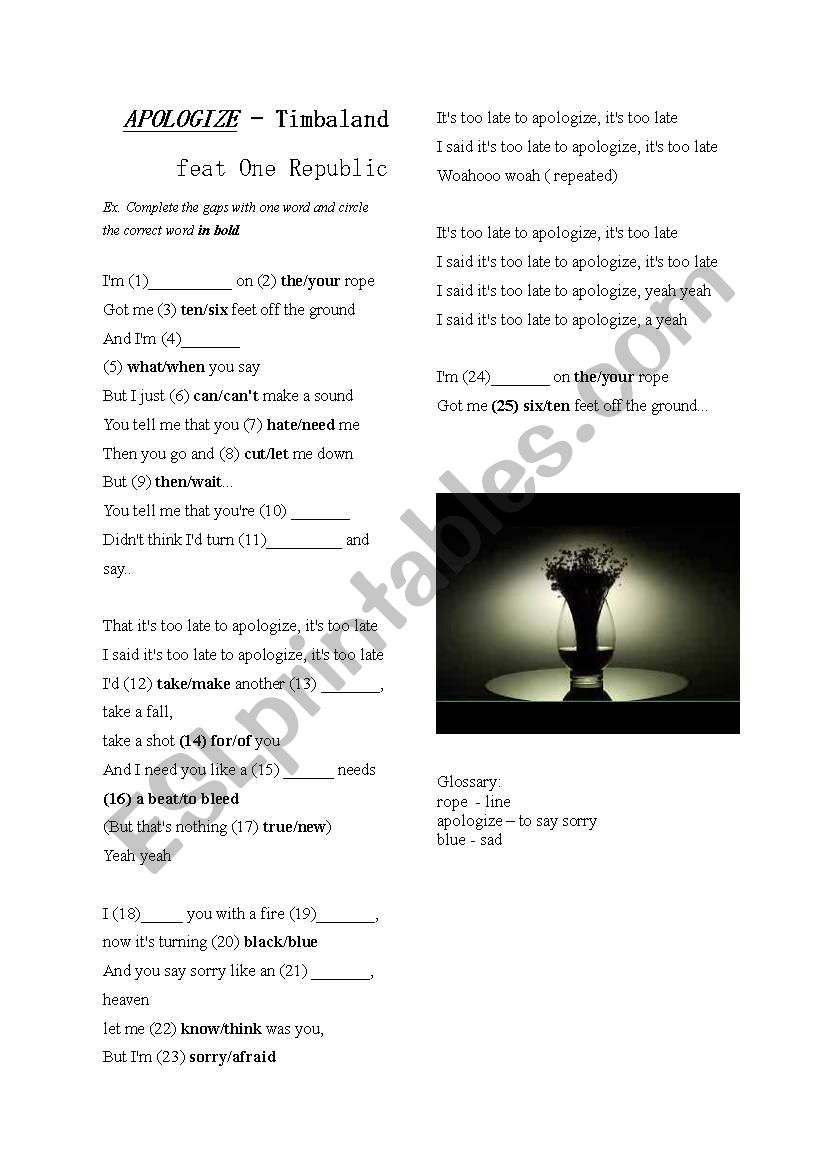 Apologize Timbaland worksheet