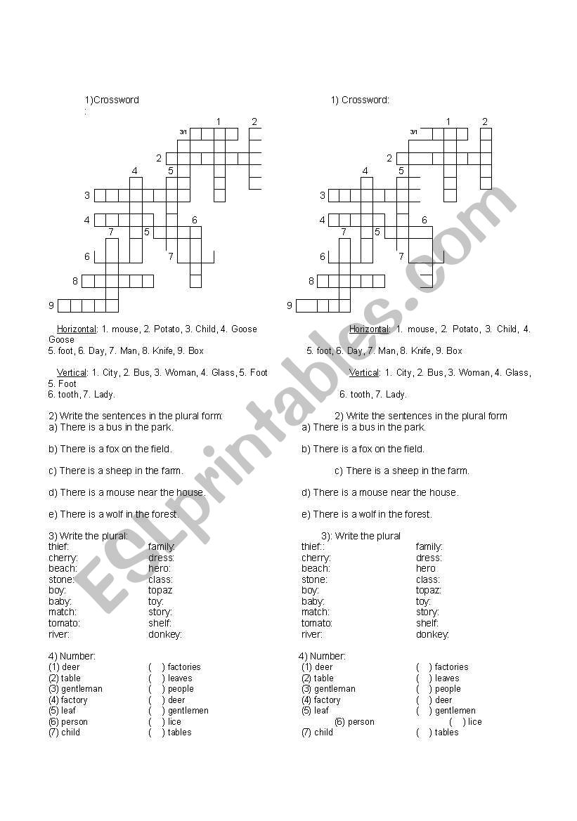 Plural and singular worksheet