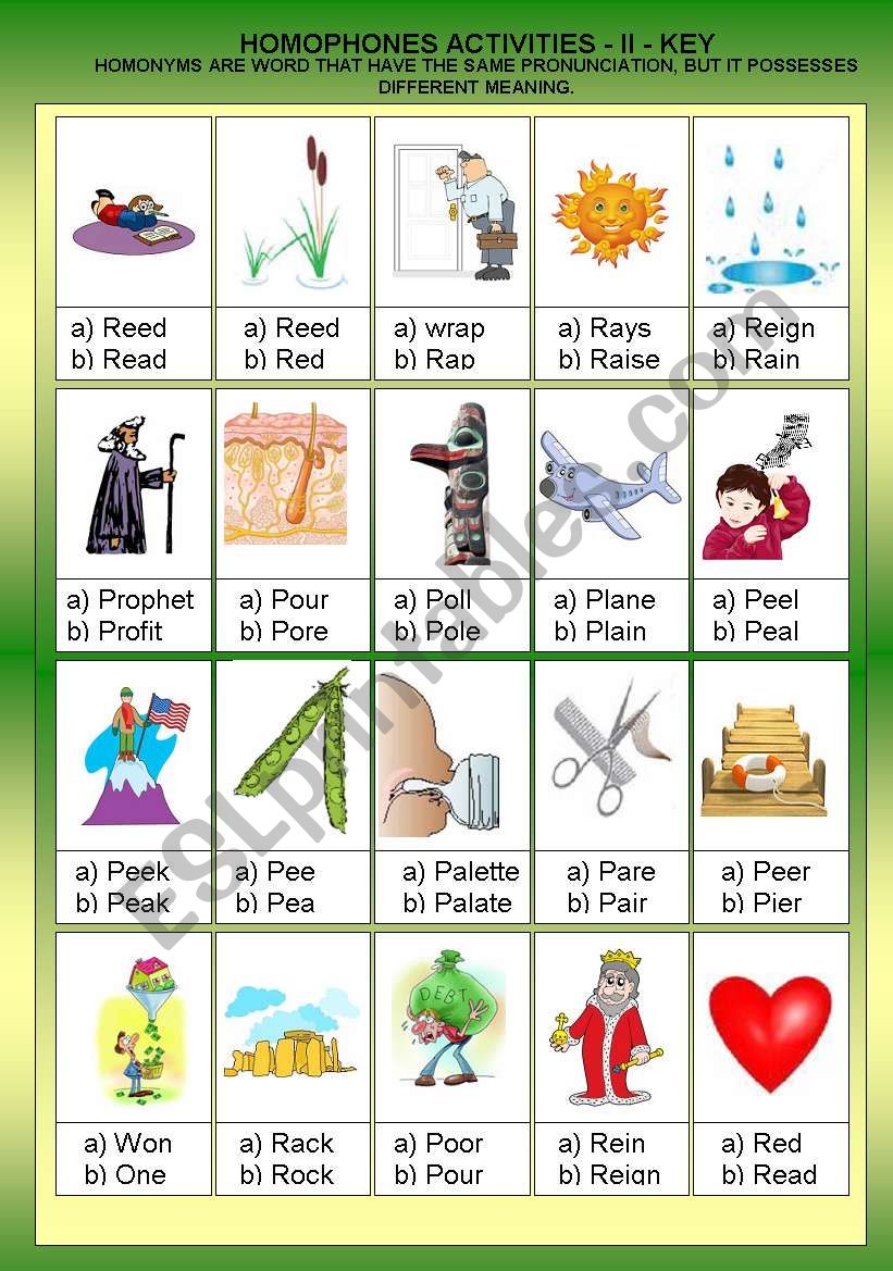 HOMOPHONOUS II  - ACTIVITIES  +  KEY  ANSWER - FULLY EDITABLE