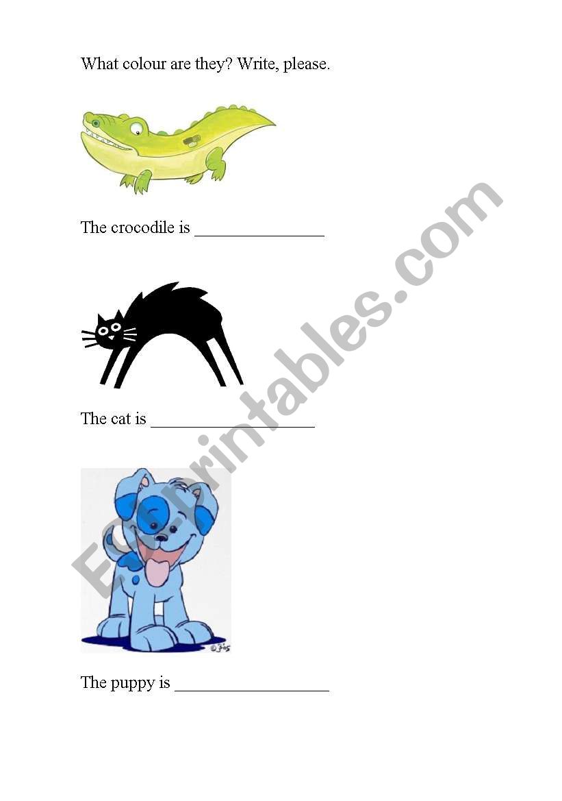 Learning colours worksheet