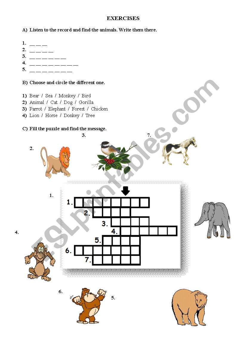 animals worksheet