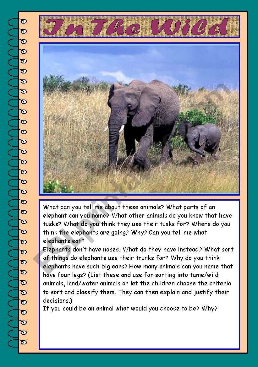 Picture Talk: Elephants worksheet