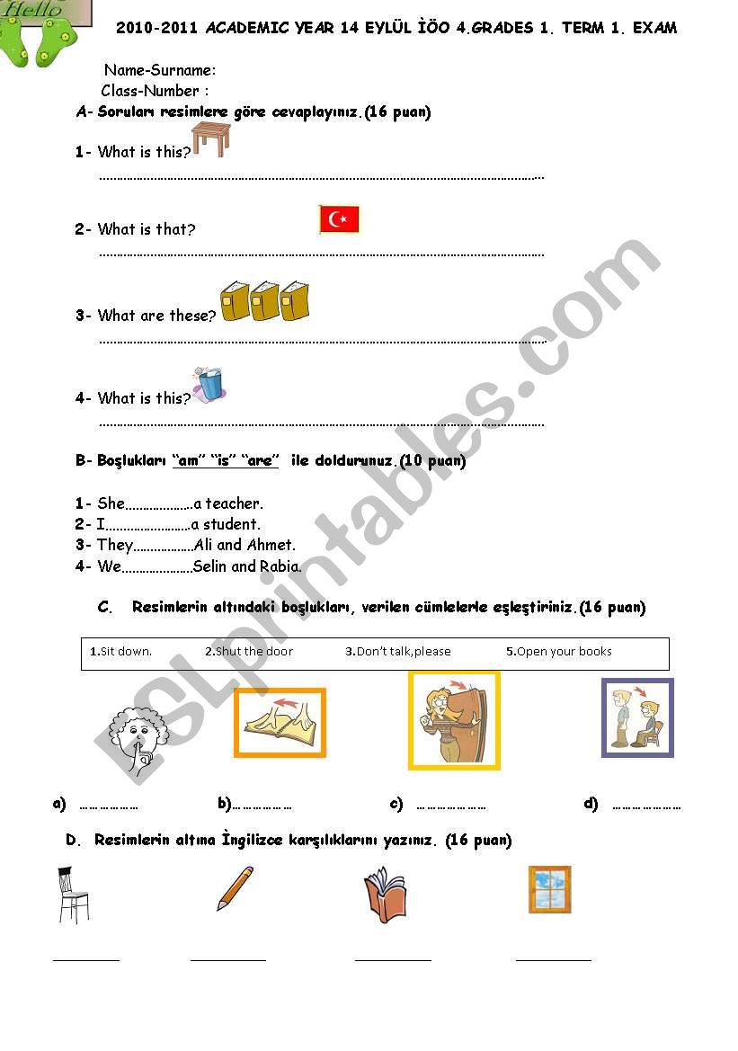 exam for beginners worksheet