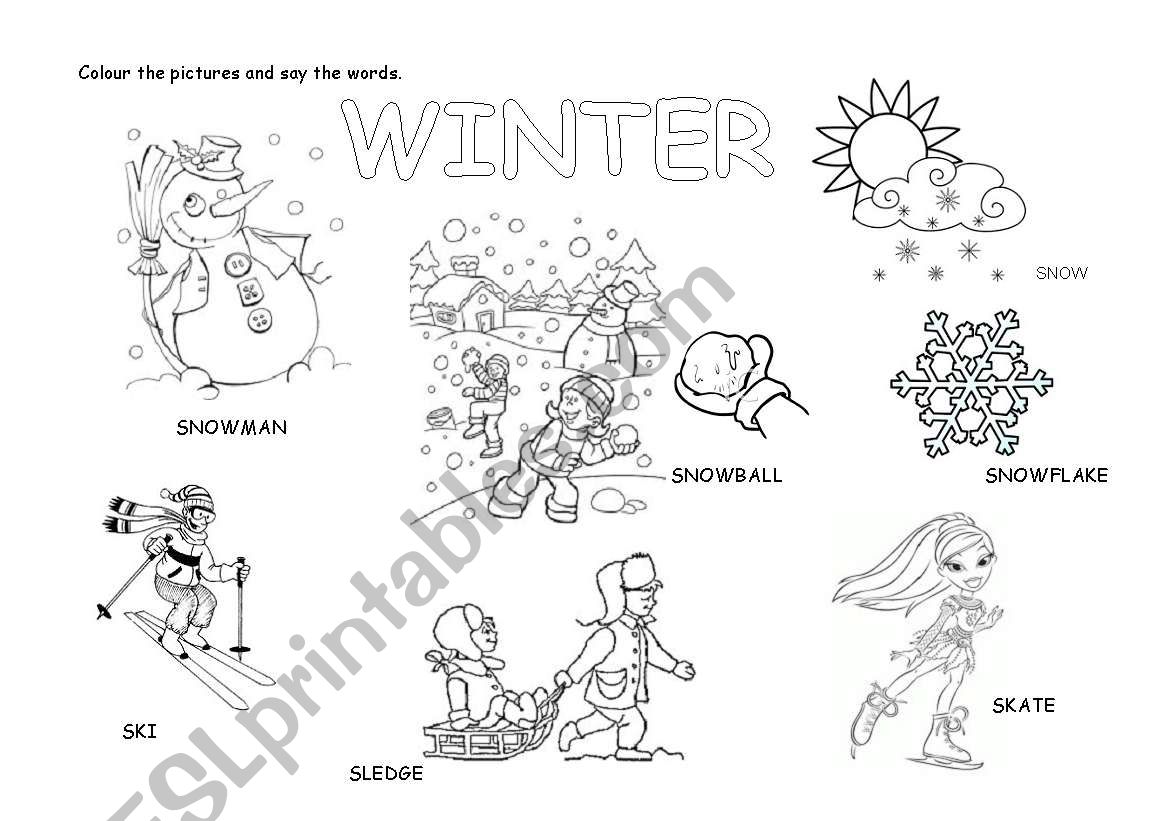 winter worksheet