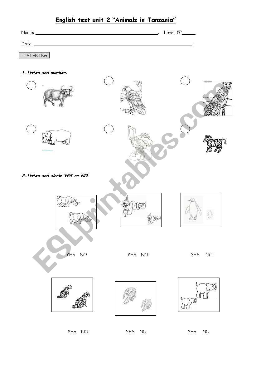 Animals in Tanzania Test worksheet