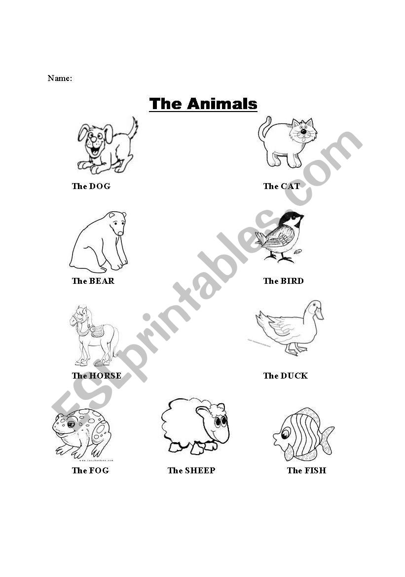 ANIMALS worksheet