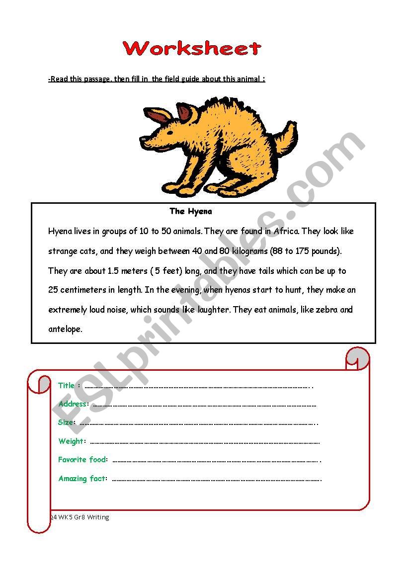 Hyena the animal worksheet